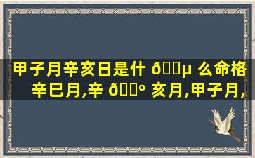 甲子月辛亥日是什 🌵 么命格「辛巳月,辛 🌺 亥月,甲子月,是哪一个月」